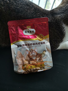 狸花猫这新到的模特，拍照不是太给力