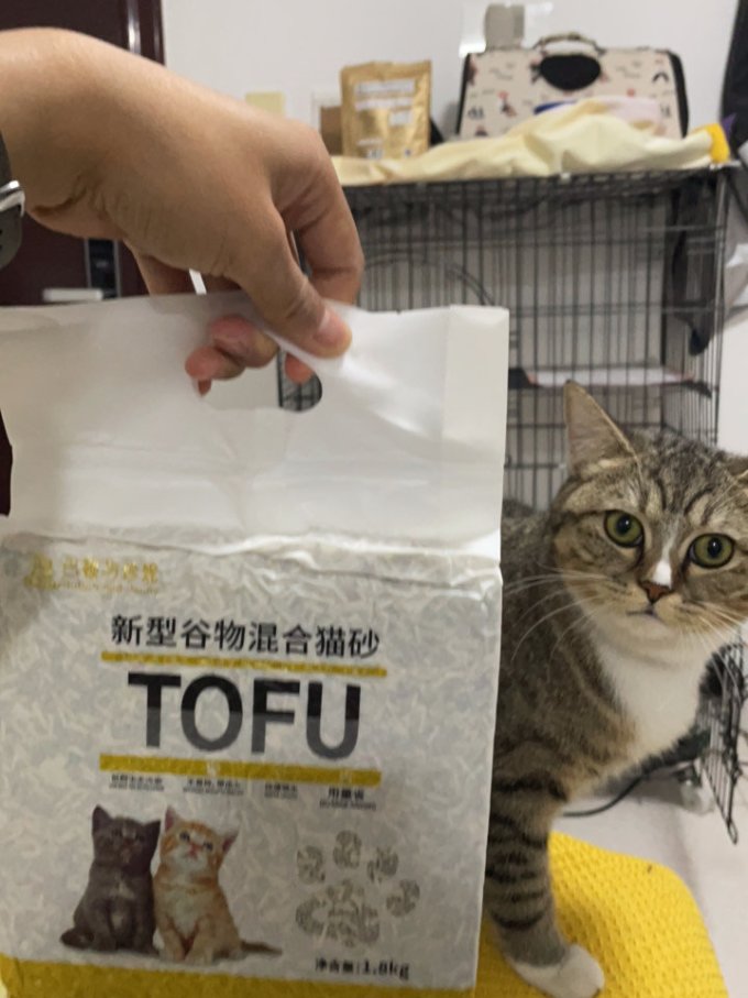 巴顿与珍妮猫砂