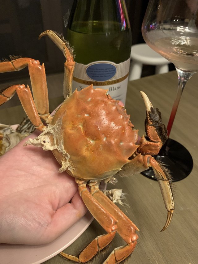 自己吃大闸蟹，买2两的还是3.5两的？？