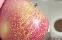 这个苹果色泽红润,果香四溢,值得推荐