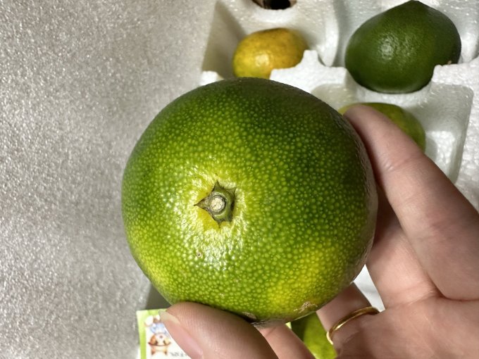鲜花绿植