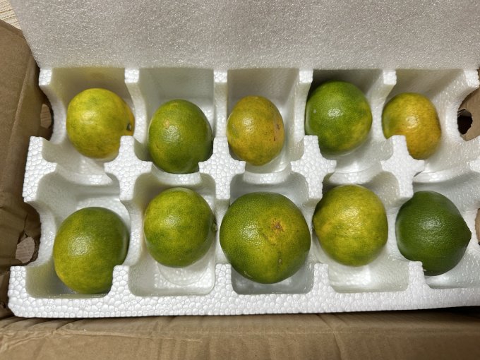 鲜花绿植