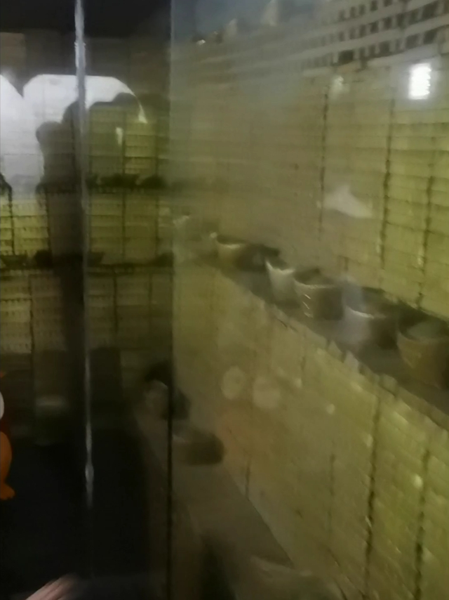 百万富豪的金银库长啥样？