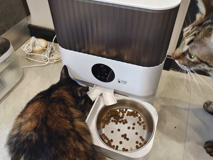 宠物食具水具