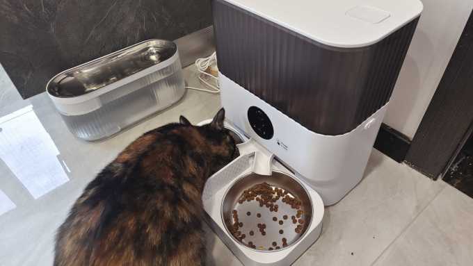 宠物食具水具