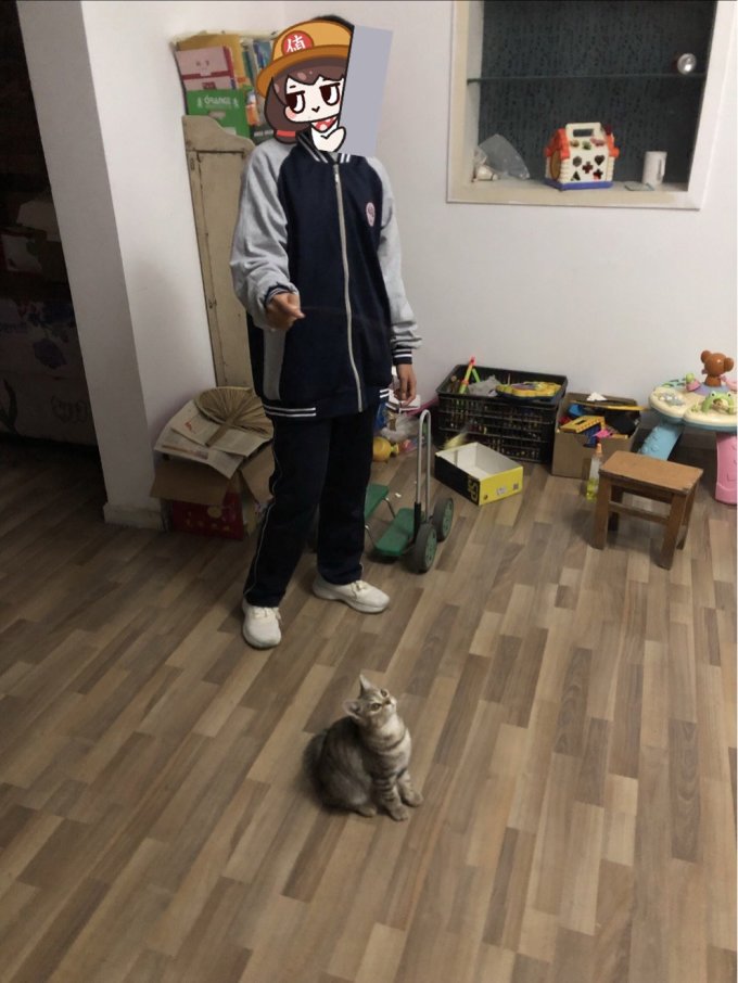 小猫喵喵猫玩具
