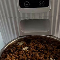 PAPIFEED猫咪自动喂食器宠物智能定时定量猫粮狗粮wifi远程喂食机