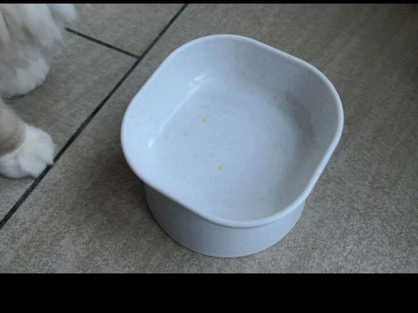 乐优派猫碗狗碗宠物喂食器猫食盆水盆猫盆狗