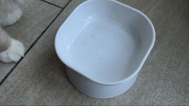 乐优派猫碗狗碗宠物喂食器猫食盆水盆猫盆狗