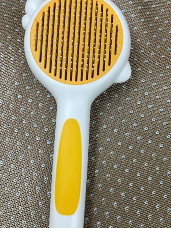 宠物洗护美容