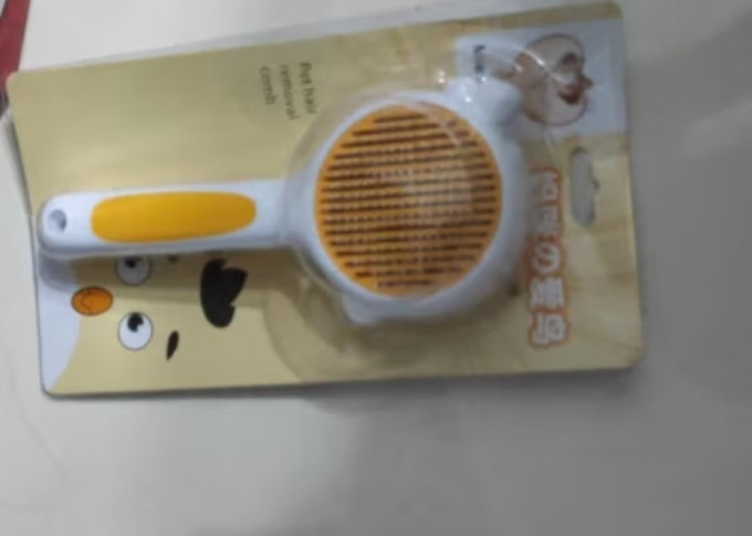 宠物洗护美容
