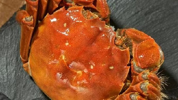 一只大闸蟹的治愈力量：美食的力量果然无穷大!