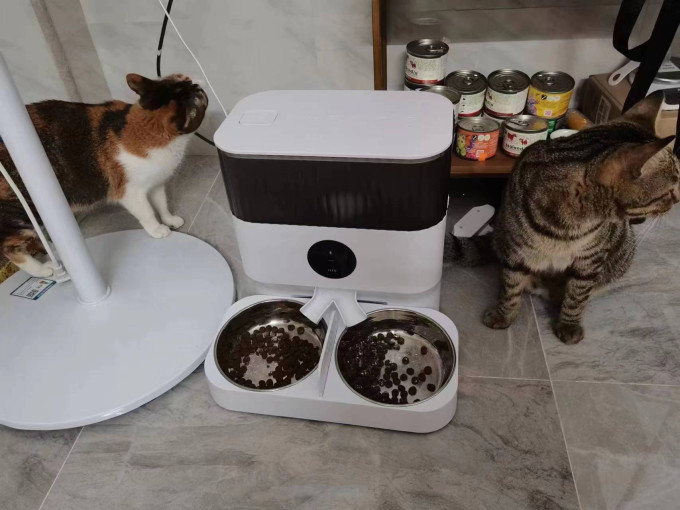 宠物食具水具