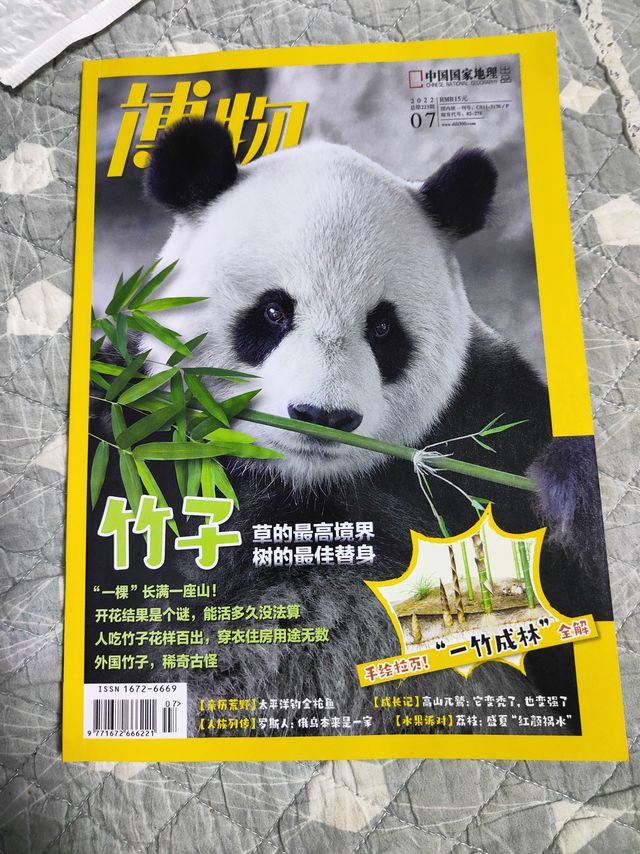国庆宅家精神食粮之博物竹子