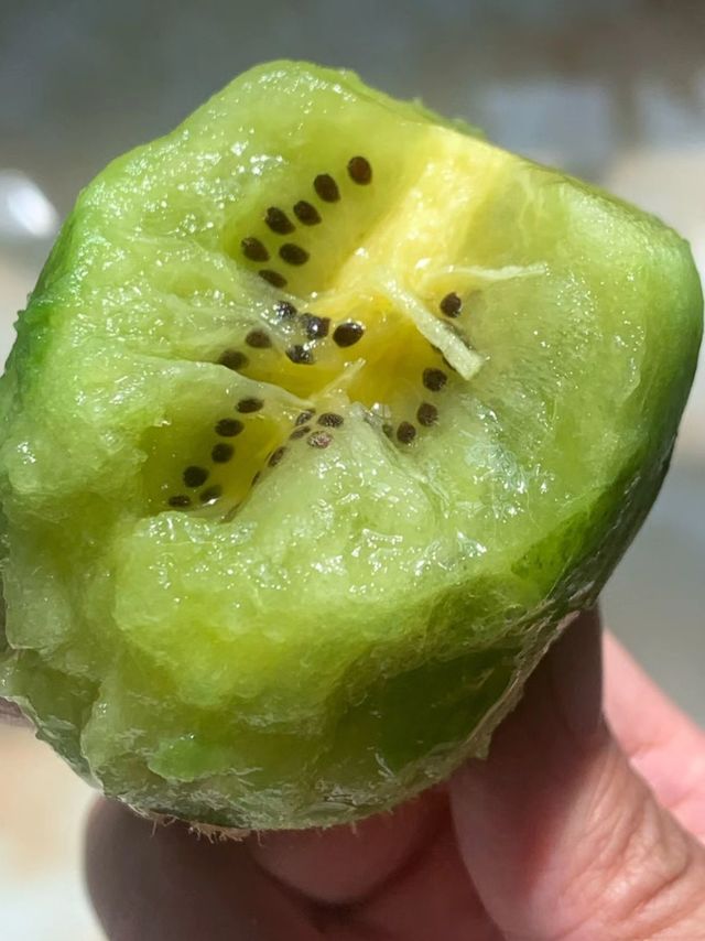 我不治之症有救了😭猕猴桃还能治口腔溃疡?