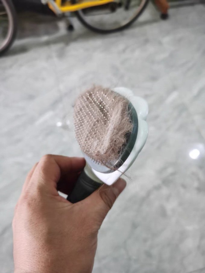 泰格宠物日用清洁