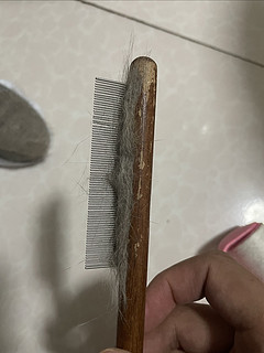 面对蒲公英，啥装备都用上了