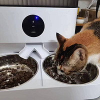 玲珑猫 自动喂食器猫咪 双碗宠物智能定时定量猫粮狗粮远程喂食机