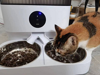 玲珑猫 自动喂食器猫咪 双碗宠物智能定时定量猫粮狗粮远程喂食机