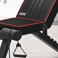 多德士（DDS）哑铃凳卧推凳家用健身器材椅训练飞鸟凳仰卧起坐辅助板603