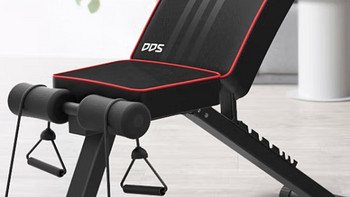 多德士（DDS）哑铃凳卧推凳家用健身器材椅训练飞鸟凳仰卧起坐辅助板603