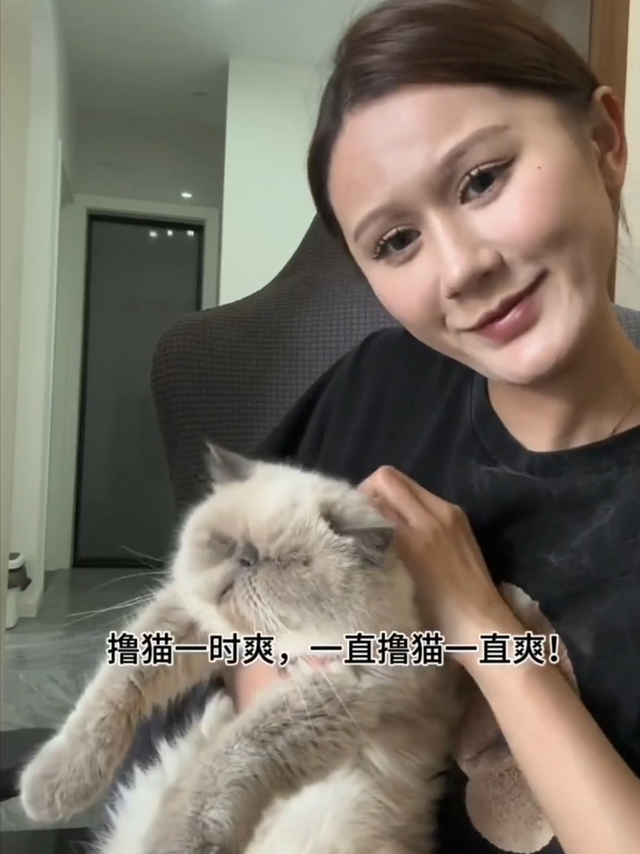 ​无惧猫毛困扰 | 灰鲸J3洗地机