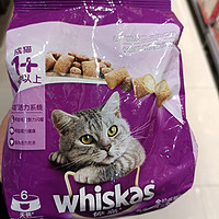 猫咪猫咪，全世界最萌的动物!