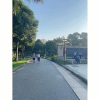 跑步注意保护脚踝