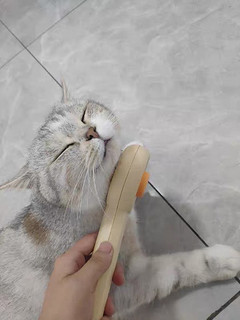 【猫梳子】是不可多得的顶级护理利器！🐾🔝