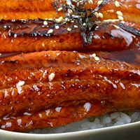 美食记 篇十三：一文盘点京东烤鳗鱼，到底哪家才是最强王者！