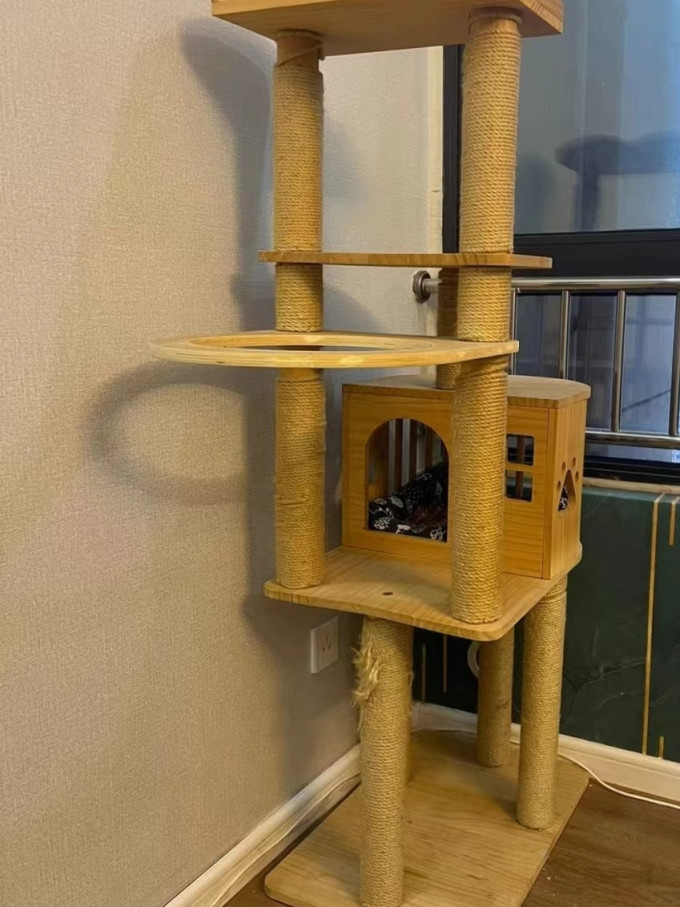 宠袋猫玩具