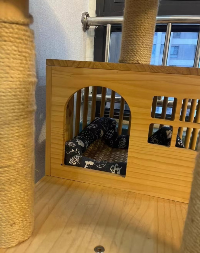 宠袋猫玩具