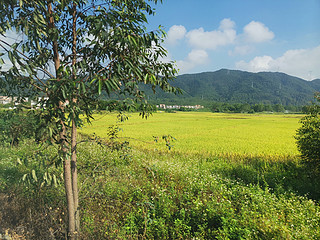 穿着登山鞋，穿越田野向山顶出发