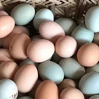 "土鸡蛋的营养价值大揭秘，让你吃出健康来！"