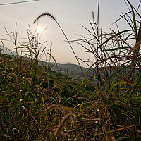 漫山遍野追着日落跑