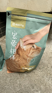 小区流浪猫吃了我买的猫粮一个比一个漂亮精神！