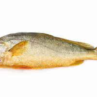 黄鱼是海鱼还是淡水鱼？