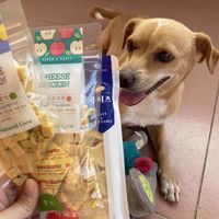 Naturalcore天然核心狗狗零食奶酪块鸡胸肉小中大型犬1袋训狗零食 1件装