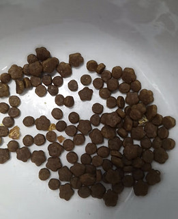 冠能狗粮小型犬成犬狗粮800g 挑食美毛亮眼配方 新老包装随机发货