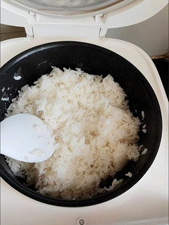 小米的电饭煲
