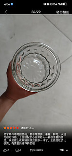 盛世泰堡 北欧玻璃花瓶插花瓶干花满天星仿真花客厅装饰摆件 透明色18cm