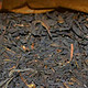 安徽是个产茶的好地方，著名的绿茶，祁门香的红茶，还有曾经断产的又复产的黑茶——安茶
