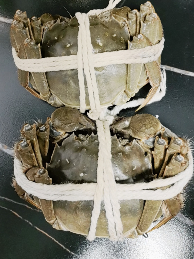 金秋十月又到吃蟹季节