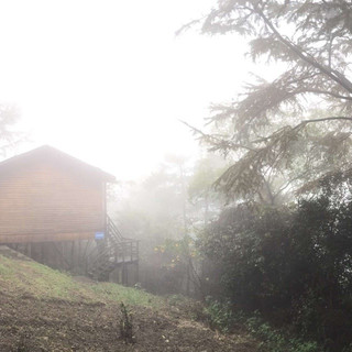 细雨朦胧达蓬山——休闲度假好去处。