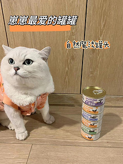 猫猫有只大眼睛