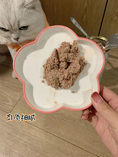 猫猫有只大眼睛