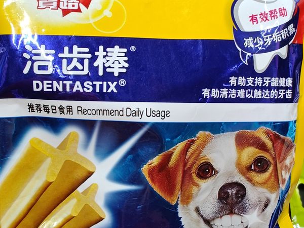 每天磨磨牙，改善狗子口腔健康