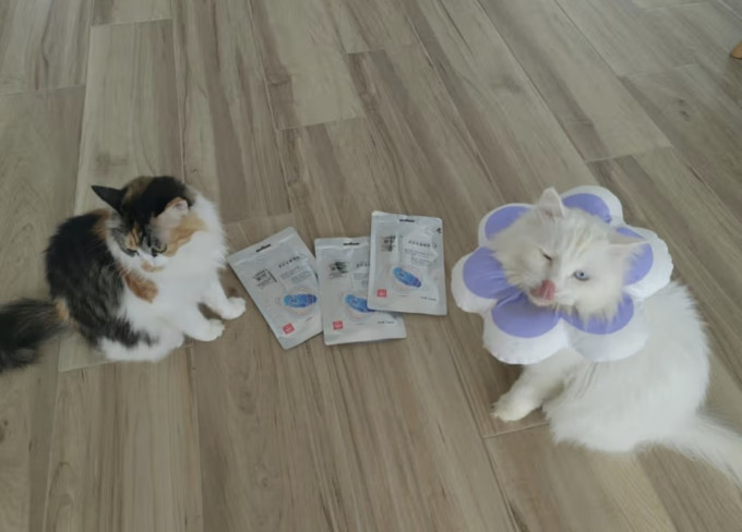 里兜猫咪零食罐/妙鲜包