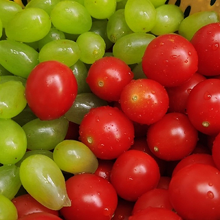 食品专栏 篇二百五十三：秋冬季节，多吃这些水果，让你健康又美丽!