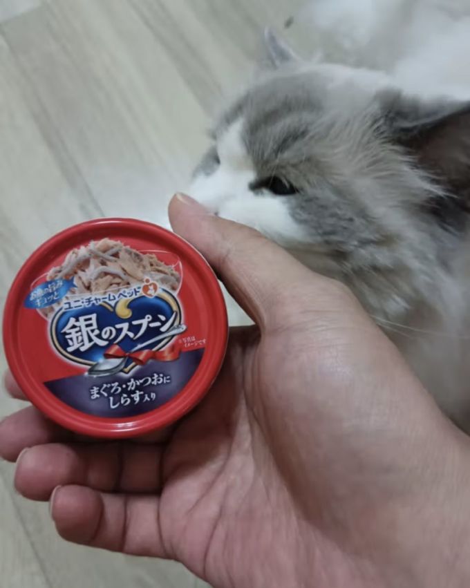 佳乐滋猫咪湿粮/罐头